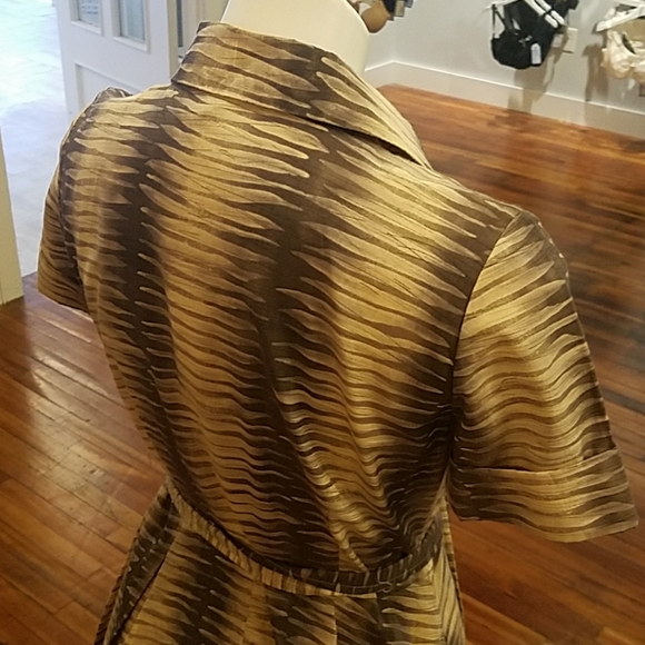 Collared Button-Front Dress - Picture 4 of 6